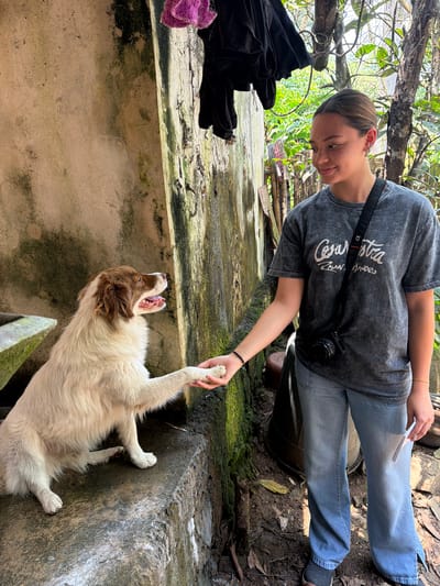 A woman with fair skin, wearing a grey t-shirt with text on it, blue jeans, and a black camera strap, is interacting with a large white and brown dog in an outdoor setting. The woman is standing at the edge of a concrete structure, possibly a raised platform or low building, and is holding the dog's paw in her right hand. She is looking down at the dog with a slight smile.

The dog is lying on its back, with its mouth open, as if playing or enjoying the interaction. The environment appears to be in Pinahuista, Mexico, as indicated by the prompt. There are trees and plants visible in the background, as well as what looks like damp earth or mud on the ground. There are some clothes hanging nearby. The concrete structure has some moss or algae growing on it. The scene is captured in natural daylight, with shadows cast by the surrounding vegetation.