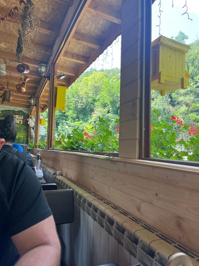 The image depicts an outdoor seating area of a restaurant, likely in Нареченски бани, Bulgaria, given the context. The scene is set on a covered wooden patio, overlooking a lush green hillside. In the foreground, a person wearing a black t-shirt is seated, with their back partially to the camera. To the left, a mural of a rural house and landscape adorns the wooden wall. Hanging from the ceiling are dried herbs and decorative lights. A bright yellow birdhouse is visible, suspended from the eaves. In the middle ground, a window frame looks out onto a vibrant display of red geraniums and other greenery. The wooden interior walls are a prominent feature, with a ribbed radiator running along the bottom of the frame. The overall impression is one of rustic charm and a connection to nature.
