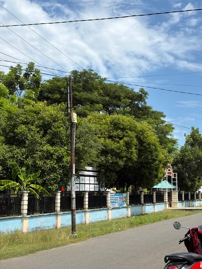 The image shows a street scene in Pasi Peukan Baro, Indonesia. A paved road runs diagonally from the lower right corner to the upper left. A motorcycle, partially visible, is parked on the right side of the road. To the left of the road is a grassy verge and a low fence. The fence has a light blue painted concrete base and black metal bars. Behind the fence, there is lush green foliage, including several large trees and what appears to be a banana plant. A wooden utility pole with some electrical equipment attached stands prominently in the foreground, near the fence. Further back, a building with a light blue awning or roof is visible, along with a white arched structure. Several signs are mounted on the fence, one of which appears to have text in Indonesian. Overhead, power lines are strung across a blue sky with scattered white clouds.