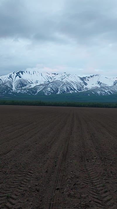 The image depicts a panoramic view of a snow-capped mountain range in the background, likely the Klyuchevskaya Sopka or a neighboring volcano given its proximity to Lesnoi, Russia, a town situated in the Kamchatka Krai region known for its volcanic activity. In the foreground, a dark, tilled field stretches out, showing clear tire tracks from agricultural machinery. The sky is overcast with heavy, gray clouds, suggesting a cool, possibly damp climate. The absence of any people or discernible structures suggests this is a rural or undeveloped area.