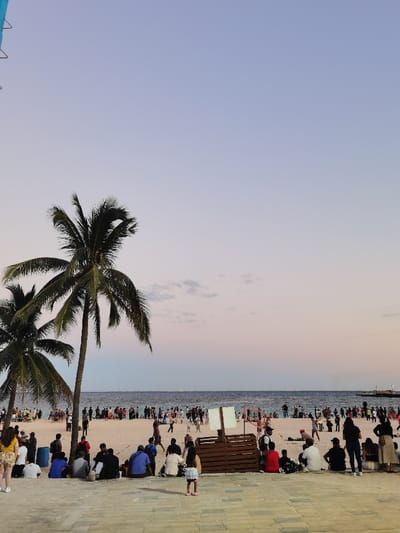 A group of people sit on a stone promenade near a beach in Cozumel, Mexico. They are positioned on a paved area in front of a wooden fence, with their backs to the sea. Some people are watching the water in the distance. The scene is framed by a large palm tree in the foreground and the sky in the background. The sky is a pale pink, with clouds in the distance. The sea is calm and blue. The beach is covered in sand. There is a small jetty in the distance. The coordinates provided place the location at the western end of the city, near the ocean, with the beach to the east. The date and time of the image cannot be determined.