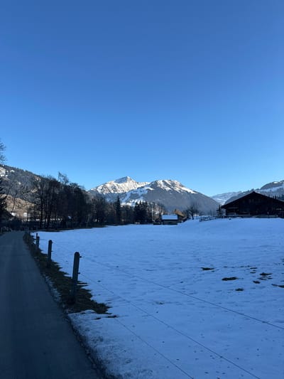 The image presents a winter landscape in Saanen, Switzerland, under a clear, vivid blue sky. A dark, paved road occupies the left foreground, running parallel to a multi-strand wire fence supported by light-colored wooden posts. To the right of the fence, a field is covered in a layer of white snow, exhibiting some visible patches of brown earth and vegetation. In the midground, a line of bare deciduous trees with dark branches stretches across the scene. Beyond these trees, a traditional, dark-wood chalet-style building with a light-colored roof is prominently situated on the right side. Another smaller, lighter building is visible further left in the midground. The background is dominated by snow-capped mountains, featuring visible rock faces and forested sections, ascending beneath the cloudless sky. No individuals, animals, or explicit actions are present in the frame.