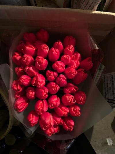 A high-angle forensic photograph depicts a dense bouquet of approximately 40-50 vibrant red tulips, tightly arranged with closed to semi-closed buds. The tulips are wrapped in light, possibly translucent, paper or film. This bouquet is contained within a brown cardboard box. Above the bouquet, inside the box, bundles of crumpled paper or newspapers bearing Cyrillic text are visible, including partial words such as "МЕХАНИКА," "НАЛАДЧИК," and "ДИРЕКТОР." To the bottom-left, dark containers with green lids are partially visible. The scene is illuminated from the upper-left. The event occurs in the city of Trudobelikovskiy, Russia.