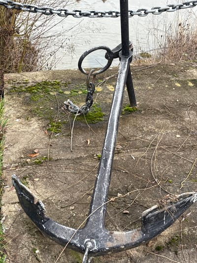 The image captures a large, weathered black anchor with visible white and grey paint abrasion, positioned horizontally on a rough concrete surface. Organic debris is present within one of the anchor's flukes. A thick, dark metal ring is attached to the anchor's stock, from which a segment of a heavy, rusted chain hangs, resting on the concrete. The concrete surface is discolored, shows cracks, and is partially covered by patches of green moss, scattered dry leaves, and numerous thin, dry plant stems. In the background, a calm, grey body of water is visible beyond the concrete edge. The water's perimeter is lined with dense, bare winter vegetation, primarily consisting of thin branches and reeds. A robust, dark metal chain extends horizontally across the upper background, positioned above the water. No individuals are present in this scene, located in Bech-Kleinmacher, Luxembourg.