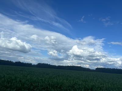 The image depicts a vast, green field of crops stretching towards a dense, dark forest line under a dynamic sky. The sky is a vibrant blue, punctuated by a mix of white, fluffy cumulus clouds and wispy cirrus clouds that streak across the upper portion. The foreground is dominated by the field, its texture suggesting a crop like corn or wheat, with individual stalks visible. The horizon is marked by the silhouetted tree line of the forest, which appears dark and slightly undulating. The overall impression is of a rural landscape in Belarus, possibly in the vicinity of Грозаўскі сельскі Савет, on a day with varied cloud cover. There are no people or animals visible in the frame.