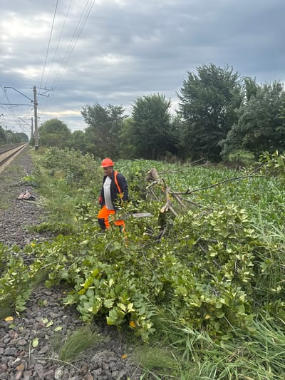 A man in an orange safety vest and hard hat is standing next to a pile of freshly cut branches on the side of a railway track in Kvemo Khvedureti, Georgia. He is holding a chainsaw. The area is overgrown with green vegetation, and a field of corn is visible in the background. The sky is overcast. There are power lines running along the railway track.
