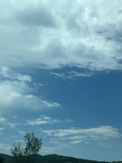 The image displays an outdoor scene in Gorno Varshilo, Bulgaria, primarily focused on a sky filled with various cloud formations over a natural landscape. The upper two-thirds of the frame present a blue sky partially obscured by white and light-gray clouds. Denser, more uniform stratocumulus-like clouds are visible in the upper left, while the right and lower sections of the sky feature more scattered, wispier cumulus clouds, allowing significant portions of clear blue sky to show through. The bottom third of the image depicts a distant, undulating horizon line composed of hills densely covered in dark green deciduous vegetation. A prominent deciduous tree with green foliage, possibly two trees, stands in the lower-left to central-left mid-ground, partially obscuring the distant hills. Some branches of this tree appear bare or sparsely leaved. No individuals, animals, or man-made structures are discernible within the frame. The scene is illuminated by natural daylight.