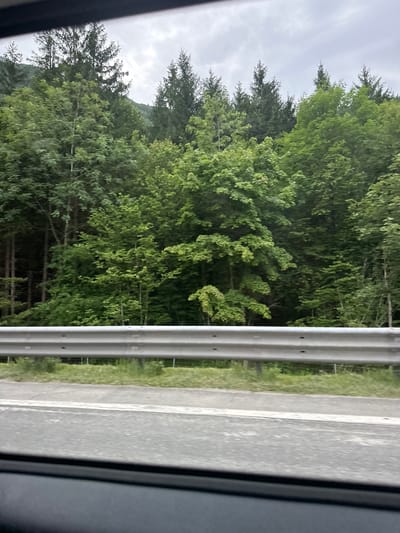 The image depicts a roadside view in Golling an der Salzach, Austria, likely from a moving vehicle. In the foreground, a grey metal guardrail runs horizontally across the frame, separating the road from a grassy embankment. The road surface is visible as a grey asphalt with white lane markings. Behind the guardrail, a dense, green forest covers the landscape, with various types of trees, including conifers and deciduous trees, forming a thick canopy. The sky above is overcast with grey clouds. The overall impression is one of a natural, rural setting adjacent to a road.