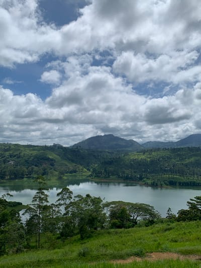 The image depicts a panoramic view of a vast, tranquil lake nestled amidst rolling green hills in Kuda Maskeliya, Sri Lanka. The foreground is dominated by lush, vibrant green grass, with a dirt path visible on the right. Tall, slender trees stand on the edge of the grassy area, leading the eye towards the serene expanse of the lake. The lake's surface is calm, reflecting the sky and the surrounding landscape with a subtle shimmer.

Beyond the lake, the landscape transforms into a tapestry of verdant hills. These hills are covered in dense vegetation, with a mix of trees and what appear to be tea plantations, indicated by the terraced patterns on some slopes. Numerous trees dot the hillsides, creating a textured and layered effect. In the distance, a range of mountains forms the backdrop, their peaks softened by atmospheric haze. The sky above is a dynamic canvas of white, fluffy cumulus clouds against patches of bright blue. The overall atmosphere is one of serene natural beauty and rural tranquility.