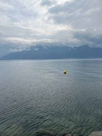 The image presents a panoramic view of Lake Geneva from its shore in Vevey, Switzerland. In the immediate foreground, the water is shallow and clear, revealing submerged rocks at the bottom edge of the frame. The lake's surface, a dominant feature, is a deep blue-grey, exhibiting ripples across its expanse. A single, spherical, bright yellow buoy floats in the mid-ground, positioned approximately in the upper-right quadrant of the water's surface. On the distant horizon, a long chain of dark, jagged mountains rises, their peaks and upper slopes partially obscured by dense, low-hanging grey and white clouds. The sky overhead is entirely overcast with a complex arrangement of grey and white clouds. No human figures or active watercraft are visible within the scene.