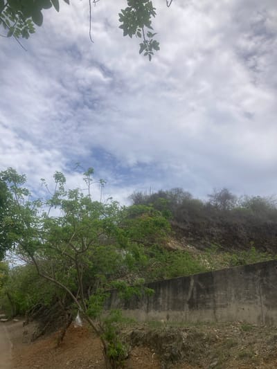 This is a medium-angle, eye-level, full shot of a concrete retaining wall built into the side of a hill. The wall runs horizontally across the mid-ground of the image. Above the wall, the hill is covered with dry brush and some scattered green foliage. In the foreground, on the left side of the image, a dirt path is visible. To the right of the path, there are several small trees with green leaves. The sky above is cloudy with patches of blue visible. The overall impression is of a rural or undeveloped area.