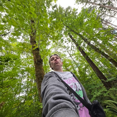 This is a low-angle, wide-shot selfie taken from a first-person perspective in a forest. A young person with short brown hair, wearing a gray zip-up hoodie over a white t-shirt with a pink and green graphic design, is the central subject. The person is looking directly at the camera with their lips pursed. They have a black strap from a bag across their chest. The background is filled with lush green trees and foliage, suggesting a natural, outdoor setting. The lighting indicates an overcast day or diffused sunlight. The location is the Forest Park in Portland, Oregon, United States.