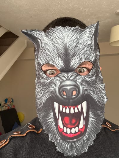 A person is wearing a wolf mask. The person is wearing a dark gray top with copper-colored trim and decorative circles. The background includes a staircase, a wall, and toys. The location is not discernible from the image.