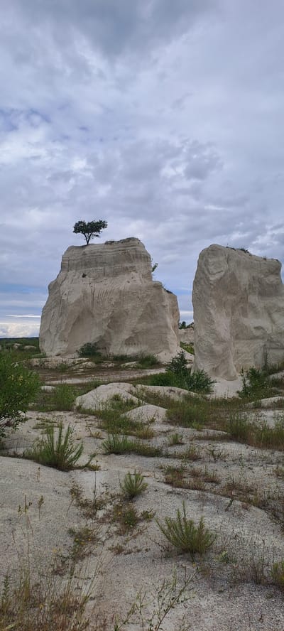 The image depicts a natural landscape characterized by towering, pale rock formations, likely limestone or chalk. These formations exhibit layered textures and erosion patterns, suggesting they are ancient geological features. A solitary tree with a dense canopy stands atop one of the larger rock formations, appearing resilient against the elements. The ground surrounding the rocks is sparsely vegetated with dry grasses and small shrubs, indicating an arid or semi-arid environment. The sky is overcast with a dramatic display of grey clouds, hinting at impending weather changes. The overall scene evokes a sense of natural grandeur and isolation. The request for location in Fetești, Moldova, cannot be fulfilled as this is a generic natural landscape and not tied to any specific urban location.