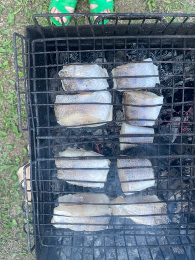 The image shows a close-up, overhead view of raw fish fillets being grilled on a charcoal barbecue. The fish is arranged in three rows on the black metal grill grate. The fillets are white and flaky, with visible skin on some pieces. The grill is placed on a bed of glowing charcoal, with wisps of smoke rising from the cooking fish. The background consists of green grass and dirt, suggesting an outdoor setting. The feet of a person wearing green sandals are visible at the top of the image. The image was taken in Bormist, Russia.