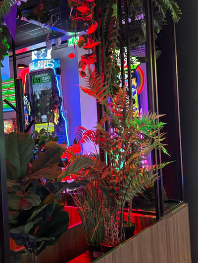 This media file depicts a close-up shot of an indoor arcade, likely in Zaandam, Netherlands, illuminated by colorful neon lights. The foreground is dominated by lush, artificial greenery, including ferns and large-leafed plants, some of which are casting red and green reflections. In the background, several arcade games are visible. One game features a sign with the text "ATZ ROPES" and "BEAT THIS TIME TO WIN 360 TICKETS," with a score of "15.5" displayed. Another sign says "Pull the Rope." The arcade appears to be decorated with a rainbow neon light and a blue neon strip light running along the back wall. The overall ambiance suggests a vibrant and engaging entertainment setting, possibly an amusement arcade or entertainment center, with a focus on games and prizes. The lighting creates a somewhat dramatic and immersive atmosphere. No people are visible in the frame.