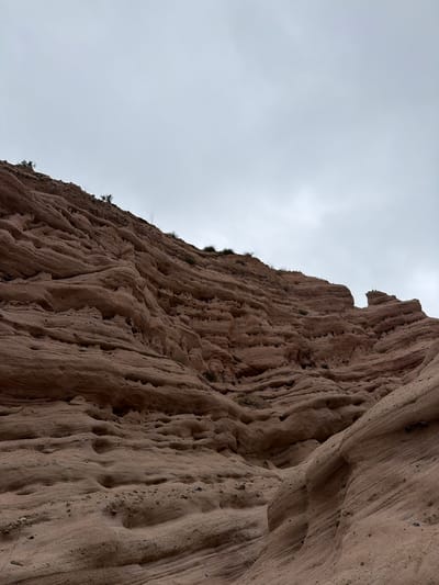 The image is a close-up, low-angle shot of a large, eroded sandstone cliff face, likely in Lake Forest, USA. The cliff dominates the left two-thirds of the frame, its surface textured with vertical striations, hollows, and small caves, evidence of wind and water erosion. The rock is a warm, sandy brown, with darker flecks of sediment visible. Sparse, green vegetation clings to the upper edges of the cliff.
The right third of the image is filled with an overcast, pale gray sky. The clouds are dense and uniform, suggesting a day with diffused light, possibly morning or late afternoon, or a cloudy day. There are no people or objects visible in the scene, and no activity is taking place. The overall mood is one of natural grandeur and geological time, with a sense of quiet solitude. The image's orientation is slightly tilted, as if the viewer is looking up at the imposing cliff from below. No text is visible.