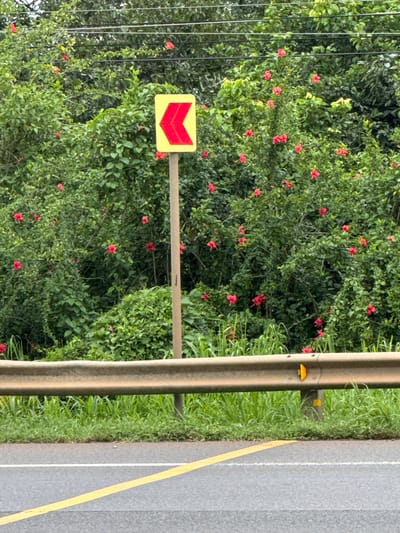 A traffic sign with a yellow background and a red chevron pointing left is mounted on a wooden post. The sign is positioned in front of a dense green bush with numerous small red flowers. A weathered metal guardrail runs horizontally across the lower portion of the image, separating the roadside from the asphalt road. Yellow lines mark the road surface. The environment appears to be a rural or roadside setting in Phú Quý 2, Vietnam.