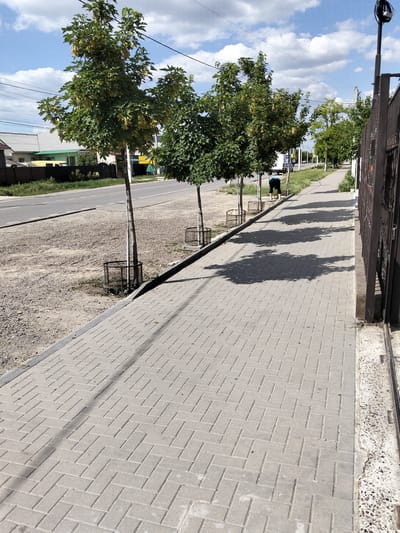 The image shows a sunny day in Congaz, Moldova. A person is seen in the middle distance, bent over and sweeping or raking the ground near the sidewalk. The scene is a street with a paved sidewalk lined with young trees, their shadows stretching across the walkway. Across the street, houses and a fence are visible. The sky is blue with scattered white clouds. The time of day appears to be late morning or early afternoon, given the strong shadows. The overall impression is one of a quiet, everyday scene in a residential area.
