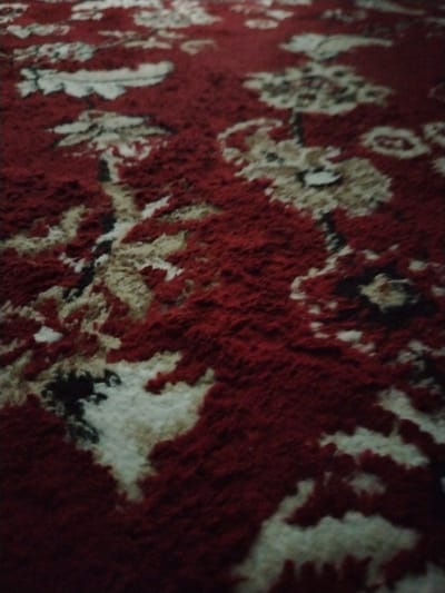 The image displays a close-up, low-angle shot of a textured carpet with a floral pattern. The dominant color is a deep red, interspersed with cream or beige and black elements forming the floral motifs. The carpet appears to be made of thick, plush fibers, giving it a soft and somewhat blurred appearance due to the focus. The pattern suggests a traditional or oriental design, with stylized flowers and leaves. The lighting is dim, contributing to the overall soft focus and the richness of the red color. There is no visible indication of any specific location within the city of Pitnak, Uzbekistan; the scene is solely focused on the carpet's texture and pattern.