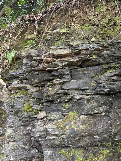 The image depicts a close-up, eye-level view of a rocky, overgrown embankment in a natural setting. The embankment is composed of layers of dark, slate-like rock formations, with some pieces appearing to be broken or weathered. Green moss and lichen are visible growing on the surfaces of the rocks, particularly in crevices and along the edges. In the upper portion of the image, soil and tangled branches with dry leaves are present, suggesting a natural hillside or cliff face. Some green vegetation, possibly ferns or ivy, is also visible on the left side of the frame and scattered among the rocks. The overall impression is one of a rugged, natural landscape with signs of vegetation growth on rock.