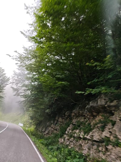 A blurred, low-angle, eye-level medium shot captures a winding asphalt road from the perspective of someone moving alongside it. The road, marked with a white line on its right edge, curves to the left and disappears into the misty distance. To the right of the road, a steep, rocky embankment is covered in lush green vegetation. Dense foliage from trees hangs over the embankment and extends into the background, where the scene fades into a light gray sky and mist. In the distance, along the side of the road, several small white markers are visible. The image is taken in Tkibuli, Georgia, along a mountain road surrounded by dense forest and a misty atmosphere.