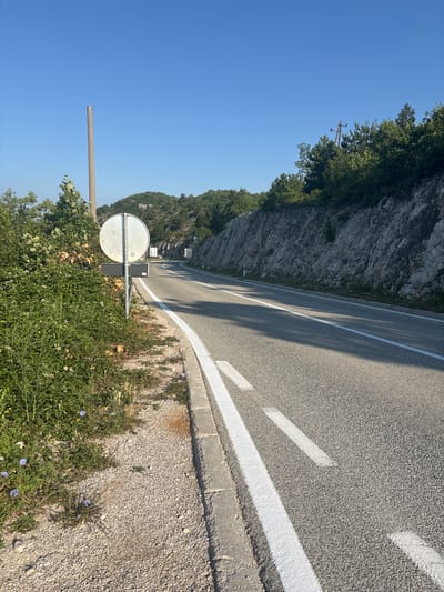 A paved, two-lane road curves to the left, bordered by a rocky, vegetated embankment on the right and a gravel shoulder with dense green foliage and small blue flowers on the left. A tall, slender pole stands near the left side of the road, supporting a round, blank white sign. The sky above is clear and blue. The scene appears to be in a rural, mountainous area.