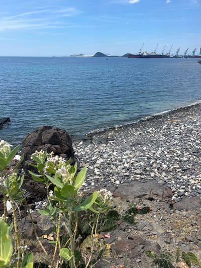 The image depicts a rocky coastline in Đông Ninh Hòa, Vietnam, under a bright, partly cloudy sky. The foreground is dominated by dark, rugged rocks and sparse vegetation, including a flowering plant with pale clusters of blossoms. A cactus with pink fruit is also visible.
The midground transitions to a pebble beach, with the gentle waves of the ocean lapping at the shore. In the distance, the expanse of the blue sea stretches to the horizon. Further out, a large cargo ship is anchored near a port facility, characterized by several towering cranes. In the far distance, hills and a small settlement are visible. There are no people present in the image. The scene conveys a sense of a working port area meeting a natural, rocky coastal environment.