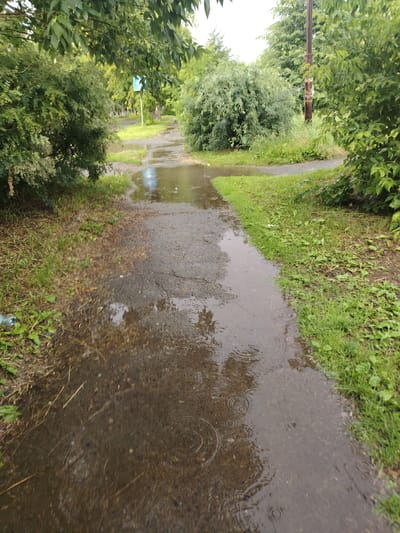 The image depicts a flooded pathway in a park or residential area, likely in Буланаш, Russia. The scene is dominated by lush green foliage on both sides of a wet, gray asphalt path, indicating a recent rainfall. The path itself is covered in puddles, with ripples suggesting that it is still raining lightly. The overcast sky, partially visible through the trees, further reinforces the impression of wet weather.
The pathway appears to be a pedestrian walkway, winding through the greenery. On the left, dense bushes and trees create a shaded, natural environment. On the right, a similar dense growth of trees and bushes lines the path, with a tall, weathered utility pole standing amongst them. A discarded plastic bottle is visible on the grassy verge to the left, a small detail hinting at human presence.
The overall atmosphere is one of quiet, slightly melancholic natural beauty, brought about by the rain. The water reflects the surrounding greenery and the sky, adding depth to the scene. The image captures a moment of natural interruption to the usual flow of life, where the weather has temporarily reshaped the landscape. No people are visible in the frame, and no text is discernable in the image.