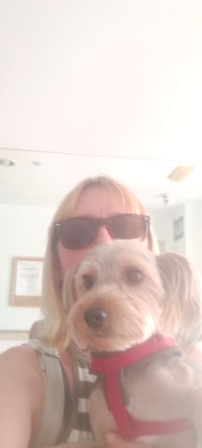 The image is a selfie taken by a woman with blonde hair and sunglasses, holding a small dog. The dog, a Yorkshire Terrier, is wearing a red harness. The background is blurred but appears to be an indoor setting, possibly an office or home, with a framed document on the wall. The overall lighting is bright, with some overexposure. There are no visible landmarks to pinpoint the location in Galapagar, Spain.