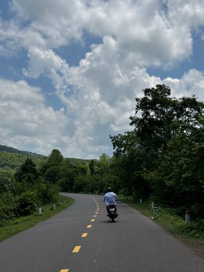 In Ham Thuan Bac, Vietnam, a person rides a motorcycle on a winding asphalt road lined with yellow dashed markings. The road curves to the left, surrounded by lush green vegetation and trees. Tall trees with dense foliage dominate the right side of the scene, with a mountainous, tree-covered landscape in the background. The sky above is a vibrant blue, dotted with large, puffy white clouds. Red and white marker posts are visible along the side of the road. The rider, wearing a light blue shirt and a dark helmet, is positioned in the center of the frame, moving away from the viewer.