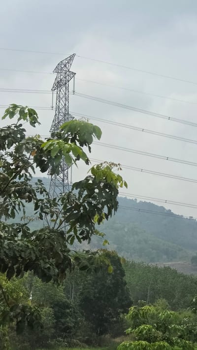 The image depicts an overcast outdoor scene in Dak Ro Wa, Vietnam. In the foreground, trees with lush green leaves dominate the right side of the frame. A tall, steel power transmission tower is visible behind the trees on the left. Several power lines stretch across the upper portion of the image. A hillside covered in dense vegetation is visible in the background.