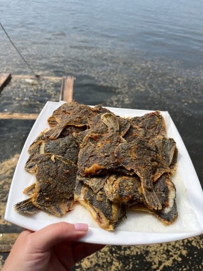 A person's hand with light pink nail polish holds a white plate filled with fried fish. The fish are small, flat, and appear to be seasoned and fried to a crispy, golden-brown texture. They are arranged in a pile on the plate, which is resting on a white paper napkin. The background is out of focus, showing a body of water with a wooden structure partially submerged. The water is murky with scattered debris on its surface, possibly suggesting a river or bay. The lighting indicates it is daytime. Based on the context of "Sovetskaya Gavan', Russia," this scene is likely depicting a meal enjoyed outdoors by a body of water, perhaps after a fishing trip.