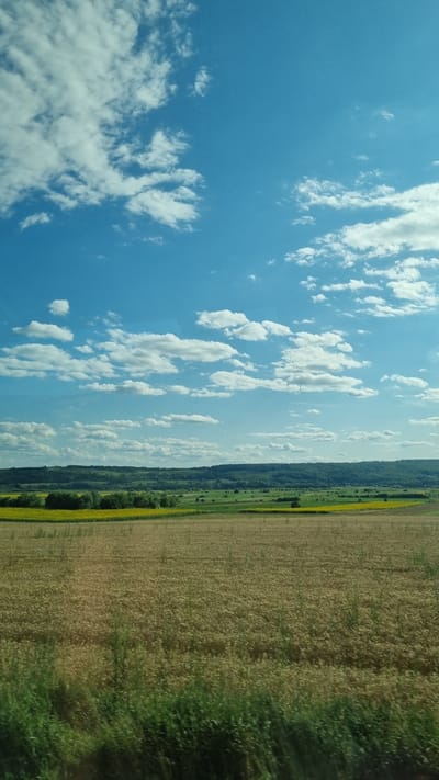 An eye-level, vertical shot captures a sun-drenched agricultural landscape under a bright blue sky filled with scattered white clouds. The foreground is dominated by a field of golden-brown crops, likely wheat or barley, showing slight motion blur. Beyond this, a strip of vibrant green grass lines the very bottom of the frame. Further into the midground, a bright yellow field, possibly sunflowers or rapeseed, stretches horizontally, bordered by a line of dark green trees. The background features rolling hills covered in dense, dark green forest, receding into the distance. The overall impression is of a rural, natural setting in the vicinity of Gara, Romania, during daylight hours.