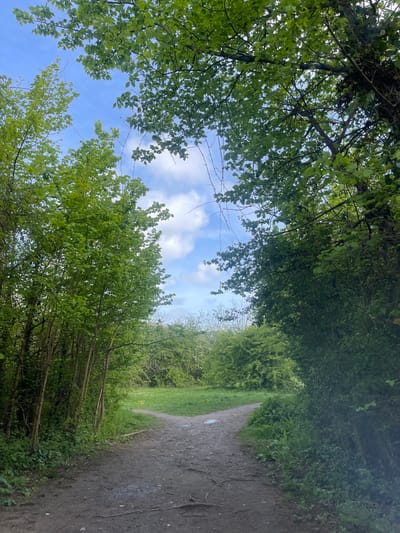 The image shows a natural dirt path or track, viewed from a low angle, leading through a verdant, wooded area. The path appears somewhat uneven, with sections of earth and possibly damp spots, and visible roots near its edges. It gently curves to the right as it stretches into the distance, flanked by dense vegetation.

Overhead and to the left, a thick canopy of lush green deciduous tree leaves and branches forms a natural archway, with sunlight filtering through the foliage. Gaps in the canopy reveal a bright blue sky dotted with scattered white, fluffy clouds. To the right of the path, a dense wall of green bushes and smaller trees lines the way, creating an enclosed feeling.

No people or discernible objects are visible, and no specific activity is taking place, presenting a static scene of natural tranquility. The time of day appears to be bright daylight, suggesting morning or early afternoon, under fair, partly cloudy weather conditions. This type of rural or semi-rural pathway is characteristic of natural areas found in and around Portsmouth, United Kingdom. There is no visible text in the image.