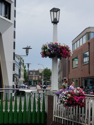 A street scene in Zaandam, Netherlands, features a lamppost adorned with a large basket of colorful flowers, including pink, purple, and white petunias. Two people, a man and a woman, are standing near the flowers. The man, wearing a green t-shirt and checkered shorts, is smoking a cigarette. The woman, in a white and floral patterned top, looks towards the viewer.
In the background, there are several buildings, including a modern brick building with large windows and an older building with a pitched roof. A street with parked cars and bicycles is visible. The sky is overcast, suggesting a cloudy day. Two pigeons are perched on a circular platform on another lamppost in the middle ground. A person is visible sitting in a car in the background. A green metal fence with pointed elements is in the foreground, partially obscuring the view of the street and people. The overall atmosphere is casual and urban.