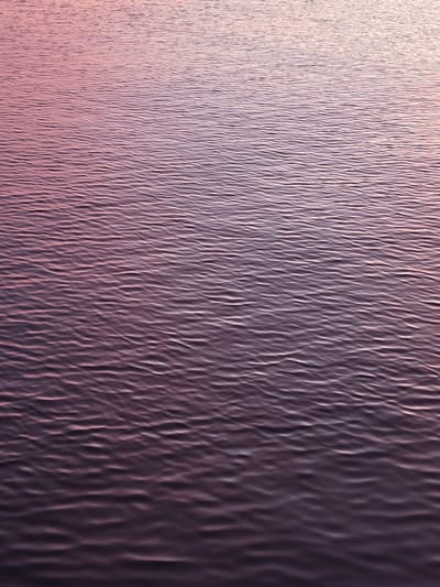 This image depicts a close-up, abstract view of a textured surface with a gradient of color, shifting from a light, rosy hue on the left to a deep purple on the right. The texture is characterized by vertical, wavy ridges that create a play of light and shadow. Highlights glint off the crests of these waves, while the troughs are cast in deeper shadow. The overall impression is of a material that is both smooth and rippled, possibly resembling water, silk, or a specially treated metallic surface. The lighting suggests a soft, diffused light source, possibly from a sunset or sunrise, given the warm tones on the left. No people, objects, or distinct scene elements are identifiable. The image is abstract and focuses entirely on the interplay of light, color, and texture. The context provided, "Приморский, Russia," does not offer any direct visual cues within the image itself, but it grounds the origin of the image to a geographical location.