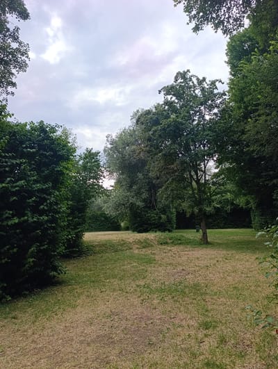 This image depicts an outdoor scene in a park or garden setting in Neckartenzlingen, Germany. The foreground features a grassy area with patches of dry, straw-colored grass mixed with green blades. To the left, a dense hedge of dark green foliage occupies a significant portion of the frame. In the midground, a moderately sized tree with a slender trunk and a full canopy of green leaves stands in an open grassy area. Beyond this tree, a well-maintained, dark green hedge forms a backdrop across the width of the image. The background is dominated by a sky filled with overcast, grey clouds, with some lighter patches indicating diffused sunlight. The overall impression is of a tranquil, natural environment.