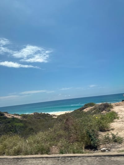 The image depicts a coastal landscape in San José del Cabo, Mexico, viewed from an elevated perspective, likely from a roadside or vehicle. The upper two-thirds of the frame are occupied by a clear, bright blue sky, with sparse, elongated white stratiform clouds concentrated in the upper left quadrant. A faint, singular red point is discernible in the upper middle area of the sky. The middle ground features the Pacific Ocean, presenting as a wide expanse of deep blue water that transitions to a lighter turquoise hue closer to the shore. A distinct line of white surf and breaking waves is visible along the sandy beach, and an indistinct pattern of white objects or foam extends horizontally within the water, parallel to the shoreline. A narrow strip of light-colored sand forms the immediate beach area. The lower third of the image, and extending into the mid-ground, comprises an undulating, sandy terrain covered with sparse, low-lying green and brownish scrub vegetation and denser green bushes. The immediate foreground displays a blurred, dark gray horizontal surface, consistent with the top edge of a concrete barrier, road shoulder, or vehicle component. No individuals or identifiable man-made structures are visible. The scene is illuminated by bright daylight.