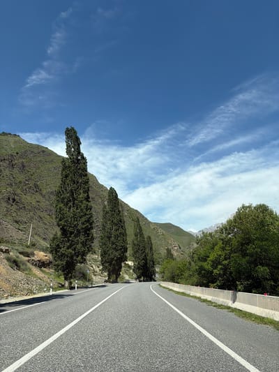 The image shows a paved road winding through a mountainous, rural landscape. Tall, slender evergreen trees line the left side of the road, with a steep, rocky, and vegetated mountain slope behind them. The road has white lane markings. In the background, more mountains are visible, some covered in trees and others appearing more barren. The sky is a bright blue with scattered white clouds. There are no people or vehicles visible in the image. The scene is consistent with a scenic route in a mountainous region, and the visual elements suggest this is a rural road in a natural environment.