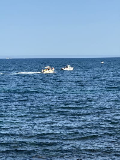 The image shows a wide expanse of choppy blue water, likely the sea, under a clear, light blue sky. The water's surface is textured with numerous small waves, creating a visually dynamic pattern. On the water, two small white boats are visible. The boat closer to the foreground appears to have a few people on it, suggesting they are engaged in leisure activity or fishing. Further out, another boat is visible, also with at least one person on it. A single white bird, possibly a seagull, is soaring in the sky above the water. The scene appears to be set on a sunny day, given the brightness of the sky. The image's orientation is such that the water fills the right two-thirds of the frame, and the sky the left third, suggesting a landscape orientation but presented in portrait. The location context of Aguadulce, Spain, places this scene along the Mediterranean coast. No text is visible in the image.