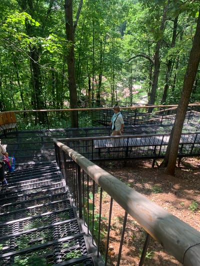 The image shows a person walking down a metal staircase in a wooded area. The staircase is part of a raised walkway with railings. There are trees and foliage all around, and sunlight filters through the leaves. In the background, more of the walkway is visible, with benches and other people. The location is identified as Arbuzov-Baran, Russia. The overall impression is of an outdoor recreational area in a forest.