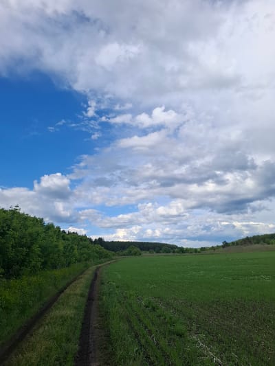 The image depicts a rural scene in Elets-Malanino, Russia. A dirt path stretches into the distance, separating a field of green grass on the right from a line of trees and bushes on the left. Beyond the trees, the sky is visible, filled with a mix of blue sky and white clouds. There are no people visible in the image. The focus is on the natural landscape.