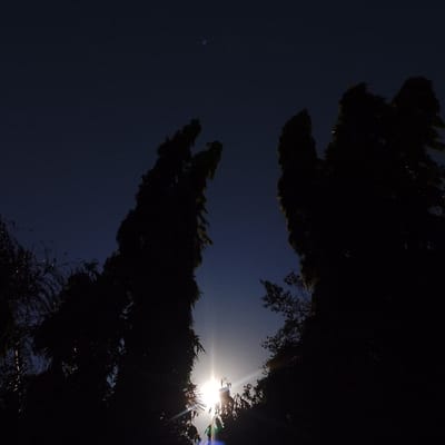 The image presents an outdoor scene in Estômbar e Parchal, Portugal, depicting a celestial light source observed from a low angle, framed by dense foliage. The sky is dark blue at the top, gradually lightening towards the horizon. A prominent, starburst-like light, consistent with the sun at either sunrise or sunset, is positioned in the lower-center of the frame, partially obscured by silhouetted trees and emitting distinct lens flares. Tall, dark masses of trees or dense foliage are silhouetted against the sky, occupying the left and right margins of the image and extending upwards, framing the central light. No individuals, animals, or discernible man-made structures are visible. A faint, small, light blue circular artifact is present in the upper-left quadrant of the sky.