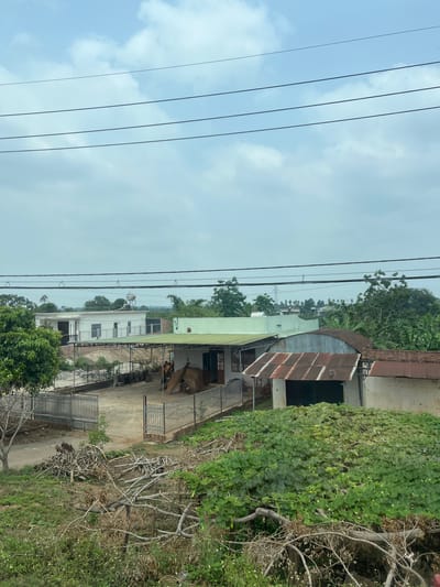 The image shows an outdoor scene in Bien Hoa, Vietnam. In the foreground, there are electrical wires running across the top-left portion of the frame. The middle ground features several buildings of varying construction. Some have corrugated metal roofs showing signs of rust, while others appear to be more recently constructed. A fence surrounds the area, and some trees and foliage are visible within the property. On the right side, dense vegetation covers a portion of the frame, interspersed with dead branches. Two cows stand under the roof. The background shows a cloudy sky.