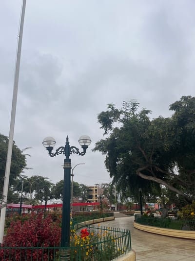 A daytime view in Quilmaná, Peru, shows a park under an overcast sky. The scene includes a street lamp with two globe-shaped lights, green foliage of trees, red and yellow flowers, a green metal fence, and a concrete path. Decorations or draped fabrics, including pink and red, are visible in the background. A building is partially visible in the background, appearing multi-story with a light-colored facade. A horizontal wire is strung across the foreground.