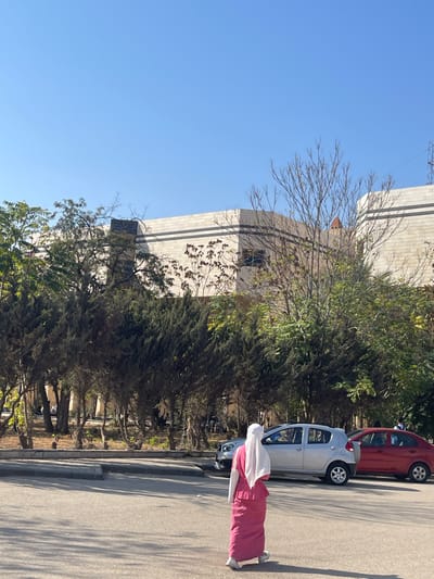 A woman in a pink dress and white headscarf stands on a street beside parked cars. Lush green trees line the road, contrasting with the adjacent building constructed from light-colored blocks. A clear blue sky fills the top left corner of the frame. The scene is bathed in bright sunlight, casting shadows on the road and the building.