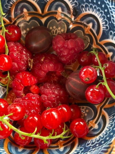 A close-up overhead shot shows a vibrant assortment of berries in a decorative blue and orange bowl. The berries include bright red currants on green stems, plump raspberries, and dark purple gooseberries. The bowl's intricate pattern is visible around the edges of the frame. There are no people or animals present in the image. The scene appears to be indoors, likely a kitchen or dining area, and no specific location details are evident within the image itself. Therefore, the location of Ivanovko, Russia cannot be determined from the visual information provided.