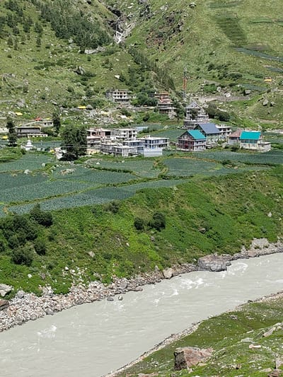 The image captures a view of Koksar, India, nestled in a valley. A wide, muddy river flows across the lower portion of the frame, its banks lined with rocks and vegetation. Behind the river, terraced fields of lush green crops stretch up the hillside, appearing to be cabbage or a similar leafy vegetable. Scattered amongst the fields and further up the slopes are several houses and buildings, varying in architectural style and color, some with colorful tin roofs. A prominent cell tower stands on the middle-ground hillside. The background features steep, green mountainsides dotted with rocks and trees, with a visible waterfall cascading down a rocky cliff face. The overall scene depicts a rural, mountainous settlement with agricultural activity.