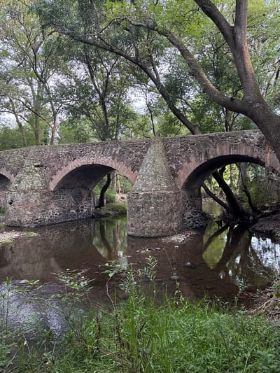 A stone aqueduct with two arches stands over a shallow stream, its reflection visible in the water. The structure is aged, with stones showing signs of wear and lichen growth. Trees and foliage surround the aqueduct, their branches reaching out over the stream. The scene is set in a natural environment, likely in the city of Santiago Tlautla, Mexico, as specified. There are no people visible. The primary interaction is the aqueduct's structure with the natural environment.